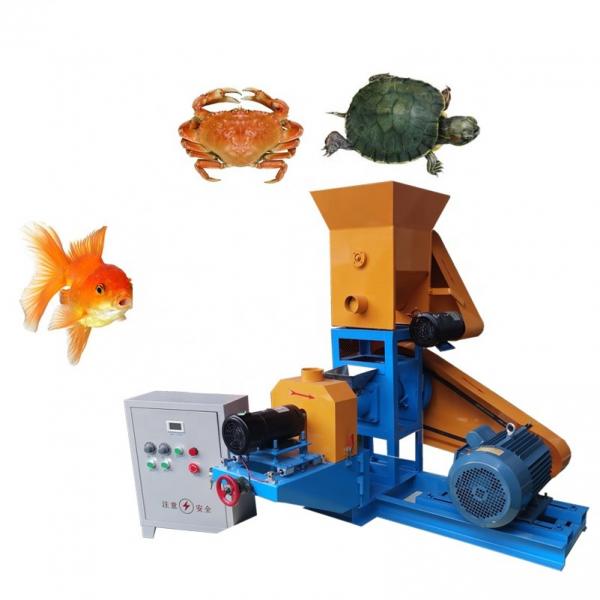 100-3000kg/Hr Industrial Automatic Wet Dry Animal Pet Dog Cat Food Extruder Fish Feed Making Machine Production Line Processing Maker Plant