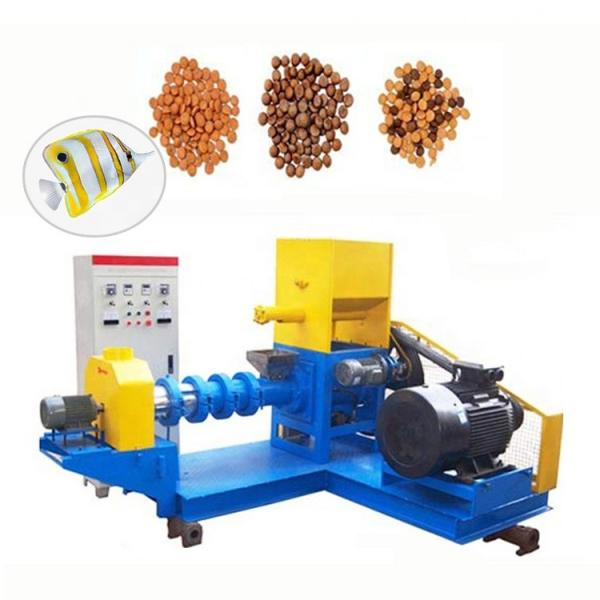 Animal Aquarium Pet Dog Catfish Monkey Fox Bird Floating Sinking Tilapia Shrimp Fish Feed Puff Snack Pellet Production Mill Food Processing Making Machine