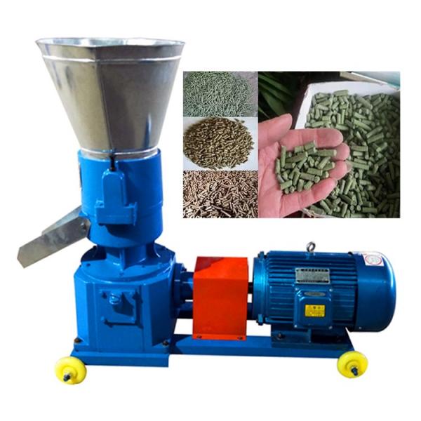 300-350kg/H Poultry Animal Fish Feed Making Pet Food Pellet Mill Extruder Machine