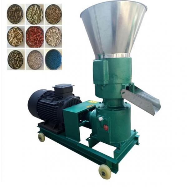 300-350kg/H Poultry Animal Fish Feed Making Pet Food Pellet Mill Extruder Machine