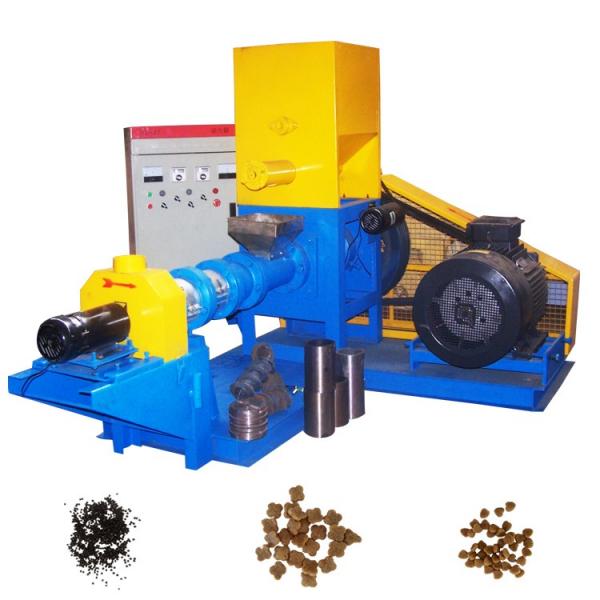 60-80kg/H Fish Feed Making Machine Mini Fish Feed Pellet Extruder