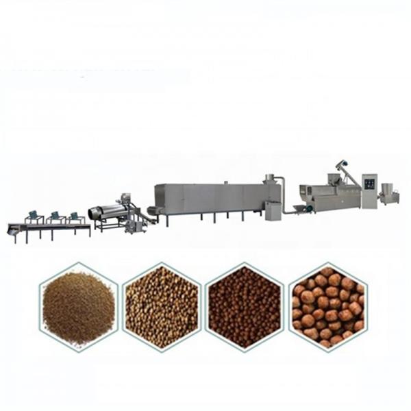 Hot Selling China Manufacturer Small Animal Floating Fish Feed Pellet Making Machine Price