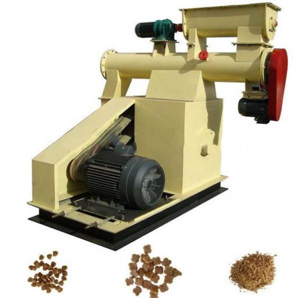 Animal Poultry Pet Fish Feed Pellet Production Line Pellet Mill Machine